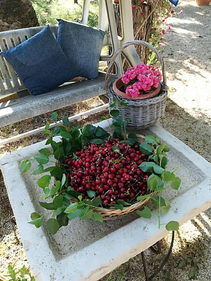 B&B Nonna Laura Trani Luaran gambar